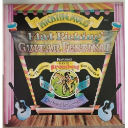 Flat Picking  Guitar Festival/PGP